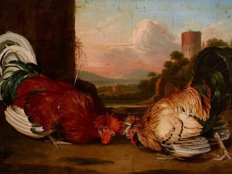 1789-August Friedrich - Combattimento di galli